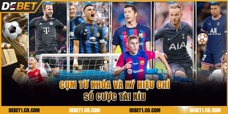 Cụm từ khóa và ký hiệu chỉ số cược Tài Xỉu